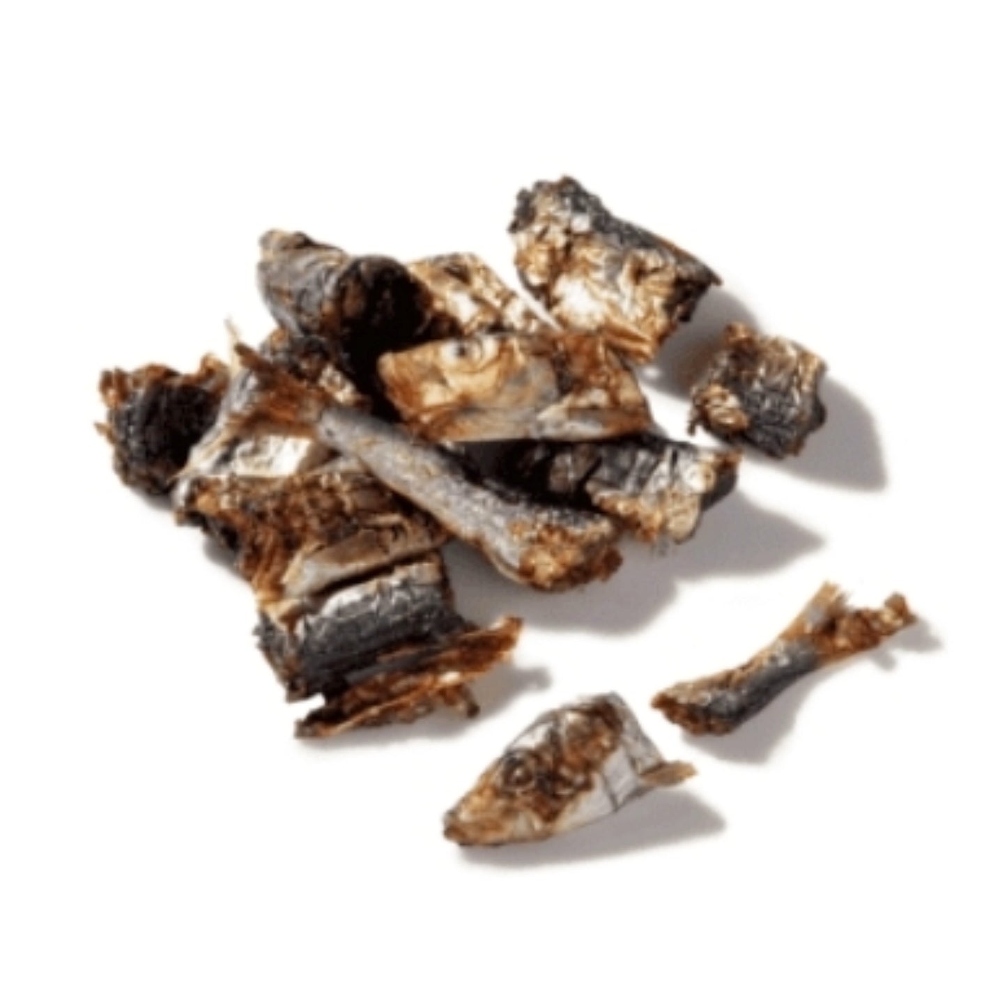 Sardine Bites