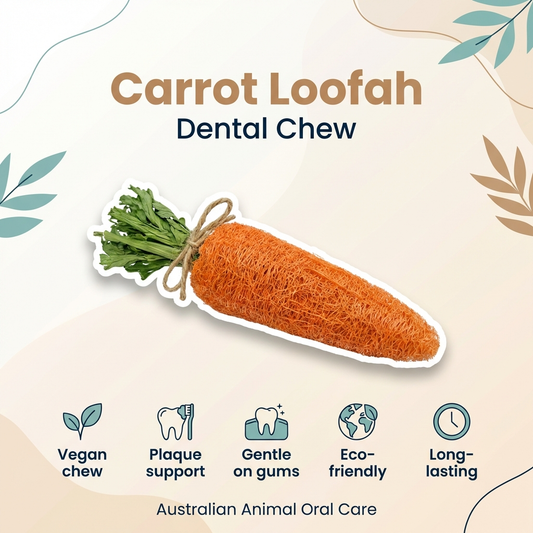 Dental Carrot Toy - Loofah
