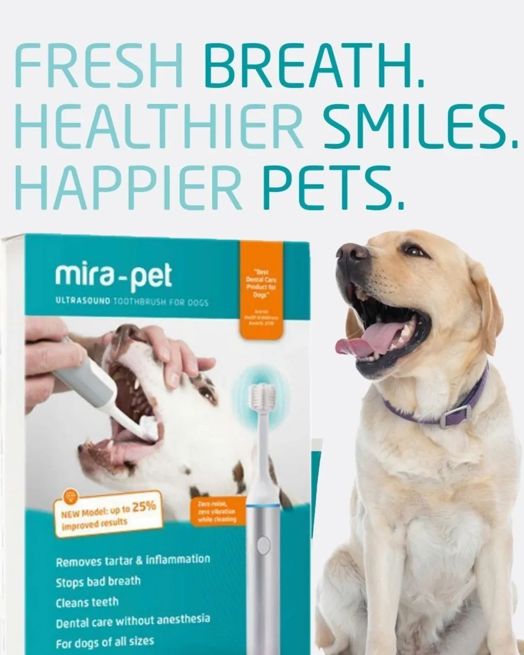 Mira-Pet Ultrasound Bundle