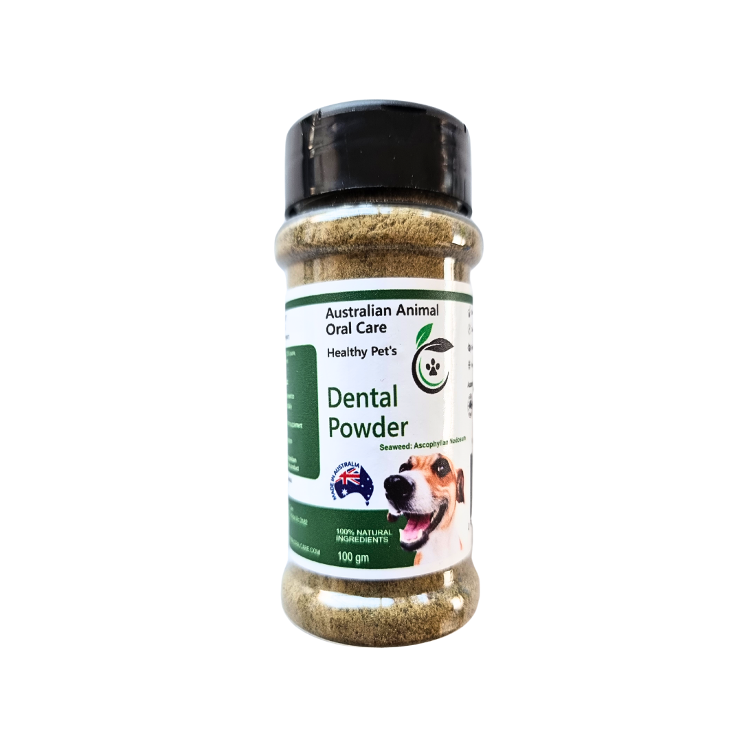 Mini Dental Gift Pack