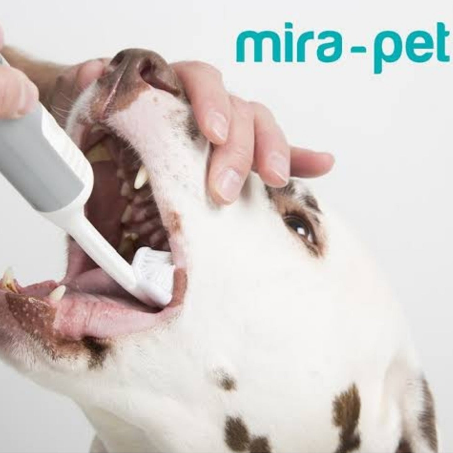 Mira Pet Professional Starter Kit