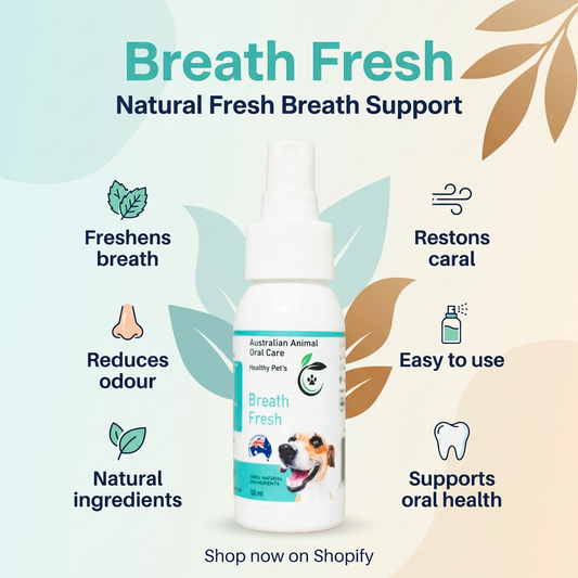 Breath Fresh Mist
