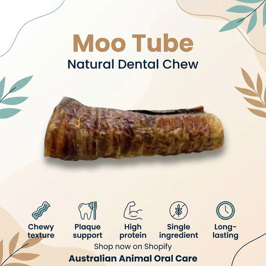Moo Tube - Dental Chew