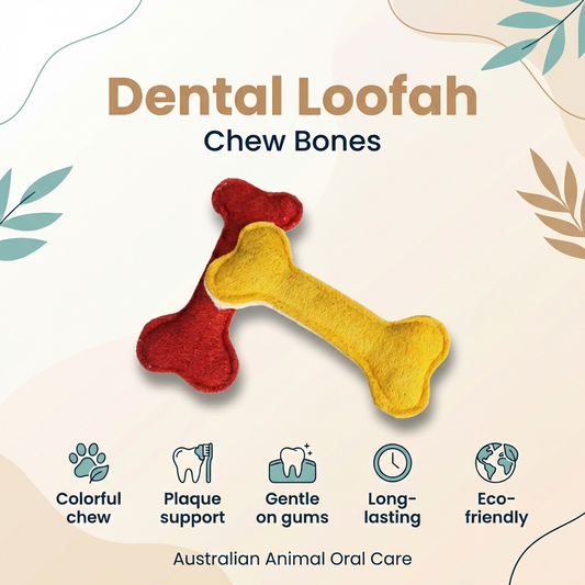 Dental Bone Toy - Loofah Ex Large