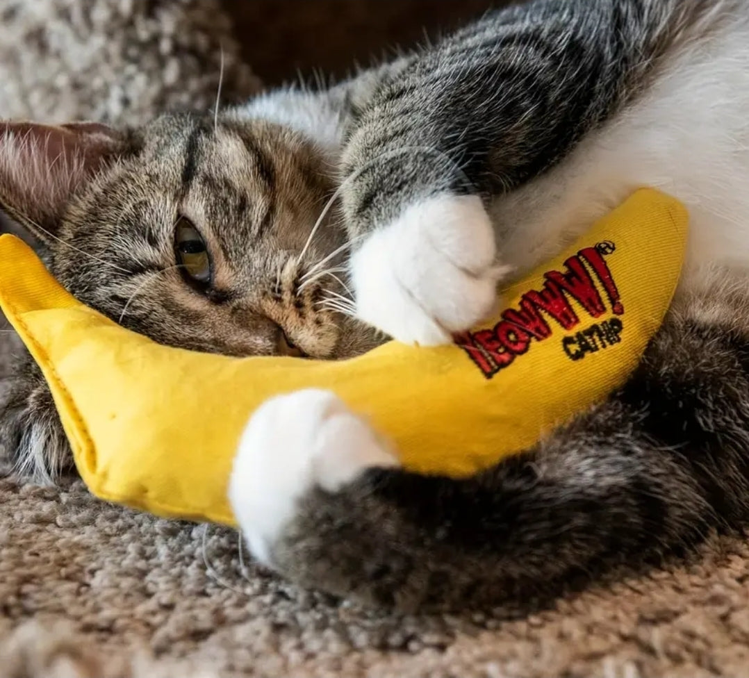 Banana Cat Toy with Catnip