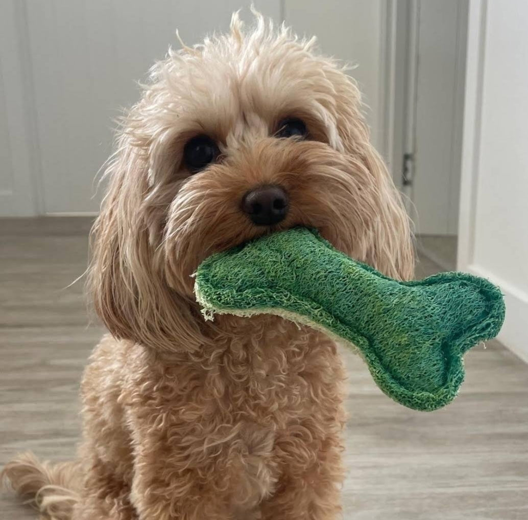 Dental Bone Toy - Loofah Ex Large