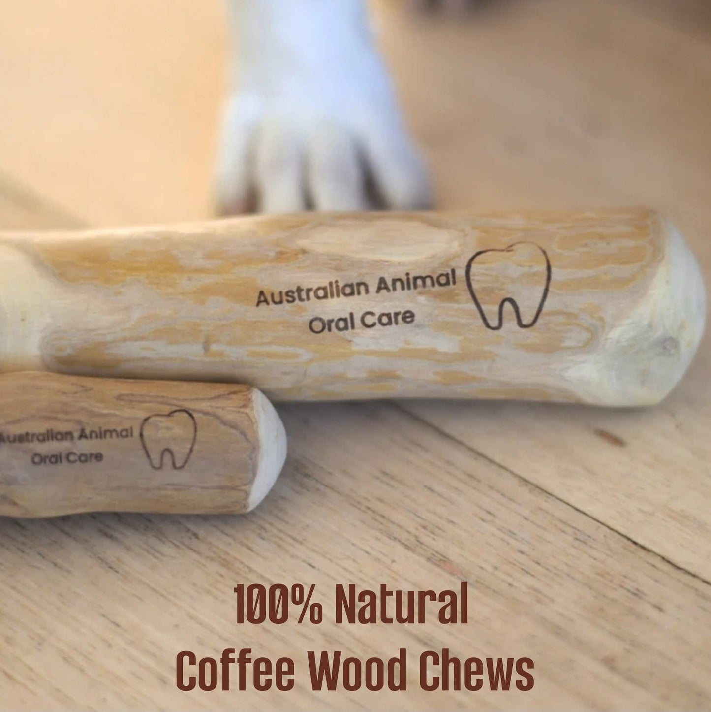 Coffee Wood Dental Chew