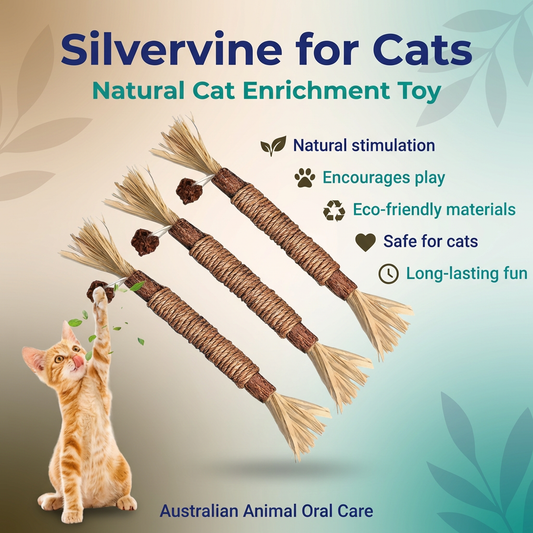 Silvervine Dental Chew