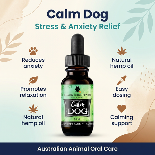 Calm Dog – Pet Hemp Oil