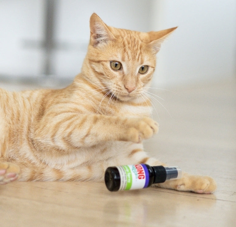 Catnip Spray 30ml