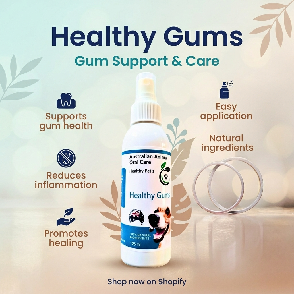 Healthy Gums