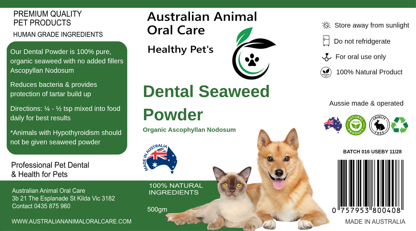 Dental Seaweed Powder -  Ascophyllum Nodosum