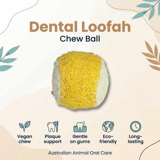 Dental Ball Toy - Loofah Large