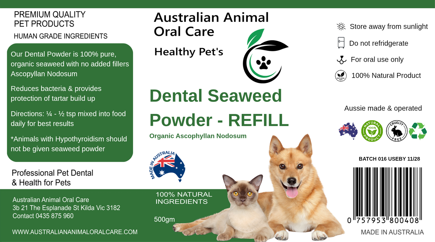 Dental Seaweed Powder -  Ascophyllum Nodosum