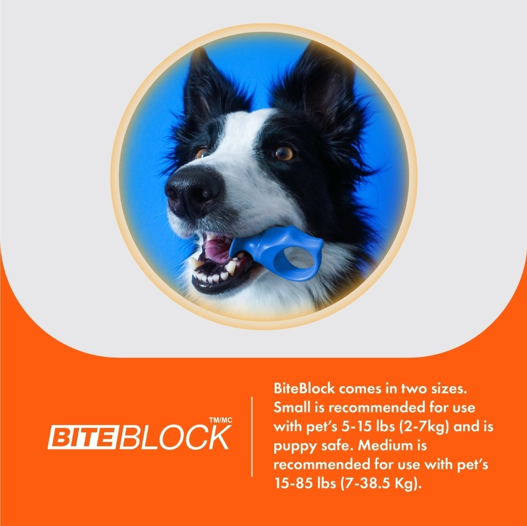 Bite Block