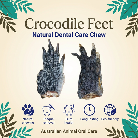 Crocodile Feet Dental Chew
