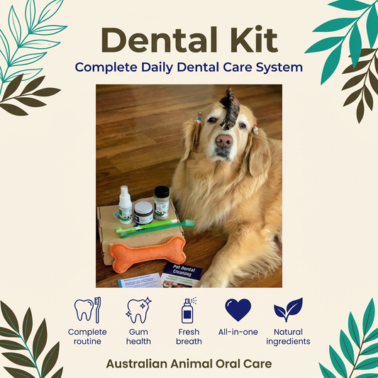 Pet Dental Kit