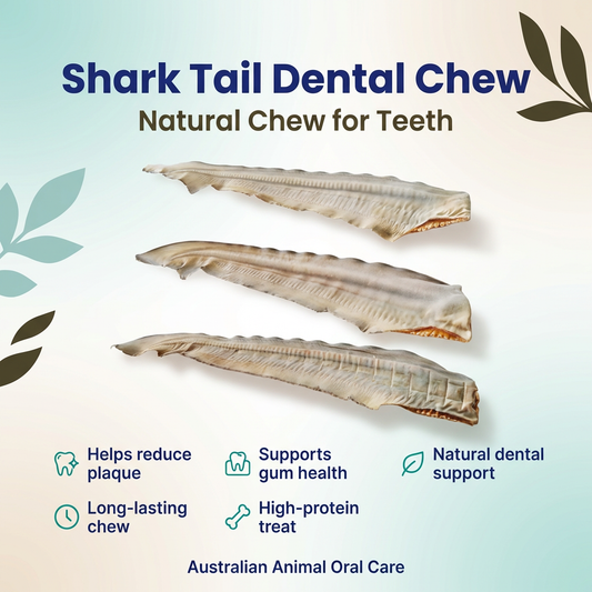 Shark Tail Dental Chew