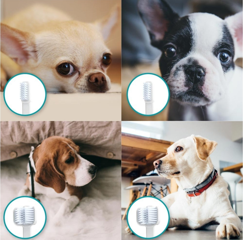 Mirapet Ultrasound Brushes Single and Triple