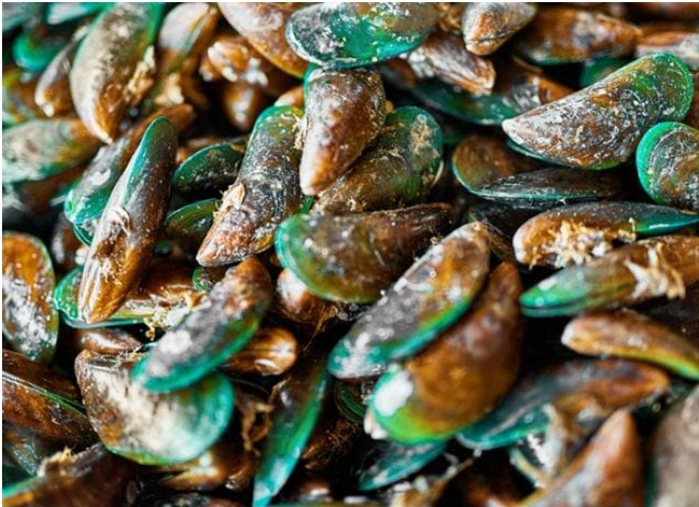 Green Lipped Mussel Powder